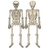 Beistle Vintage 4' 3" Halloween Jointed Skeleton Decoration 01178 Discount