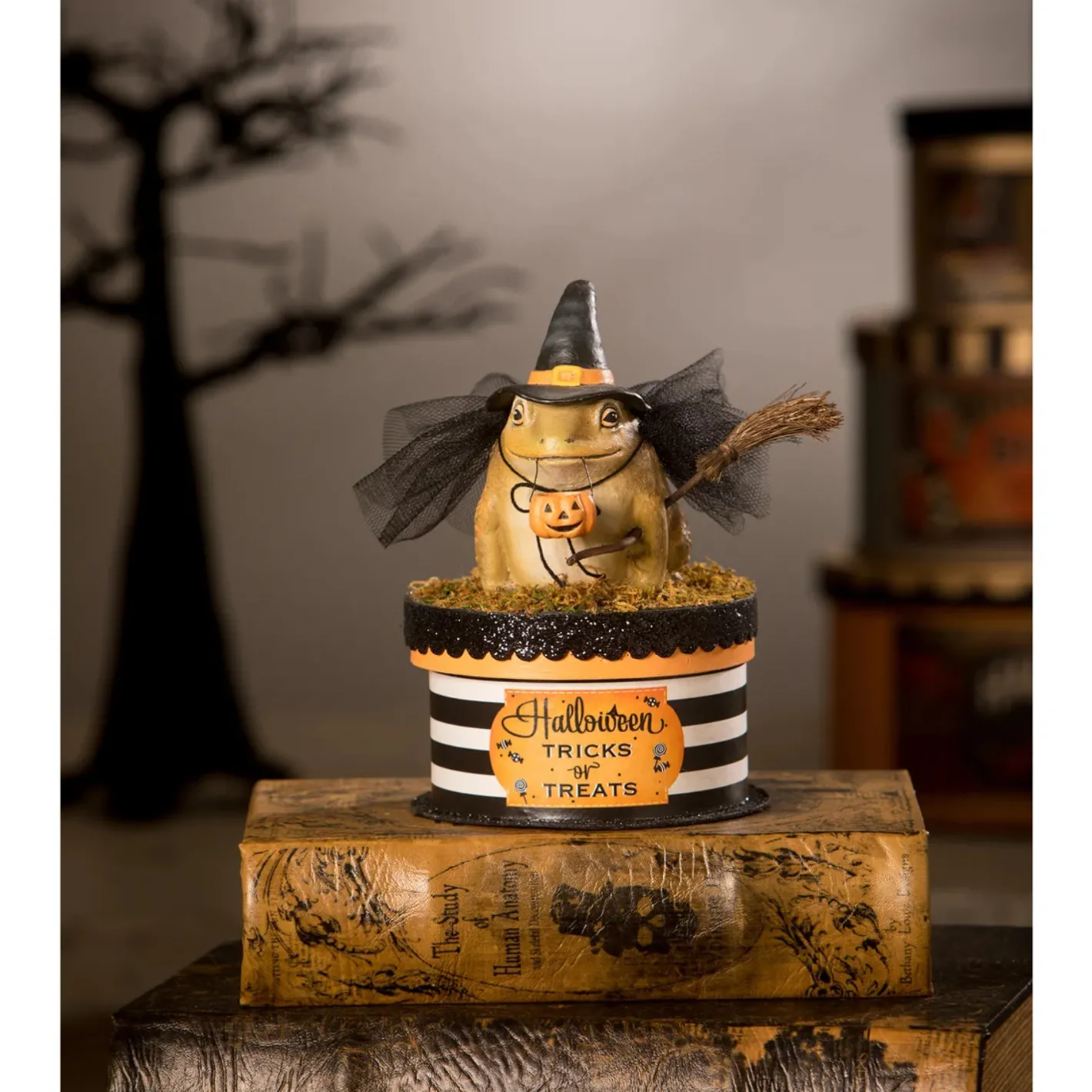 Bethany Lowe 7" Witchy Toad On Box Container Halloween Decoration TL2348 Best