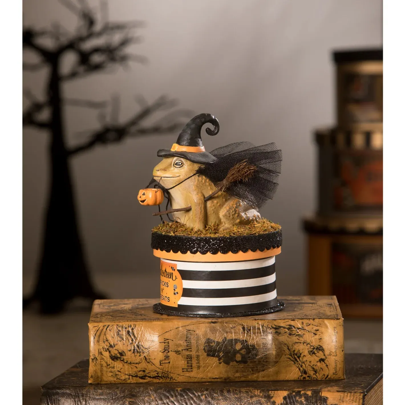 Bethany Lowe 7" Witchy Toad On Box Container Halloween Decoration TL2348 Best