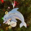 Polar X Dolphin Personalized Christmas Ornament OR1851-D Outlet