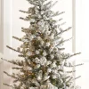 Raz Imports Raz 7.5', 9', or 12' O Tannenbaum Snowy Rocky Mountain Spruce Christmas Tree with LED Lights Online
