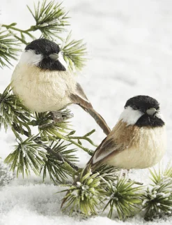 Raz Imports Raz 3.5" Clip On Bird Christmas Ornament 4153305 New