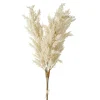 Raz Imports Raz 34" Ivory Artificial Pampas Grass Bundle F4212954 New