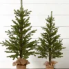Raz Imports Raz 36" or 45" Noble Fir Tree In Burlap Bag Christmas Tree Decoration Online