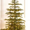 Raz Imports Raz 7.5' or 9' O Tannenbaum Norwegian Spruce Real Feel Christmas Tree with Brilliant LED Lights Discount