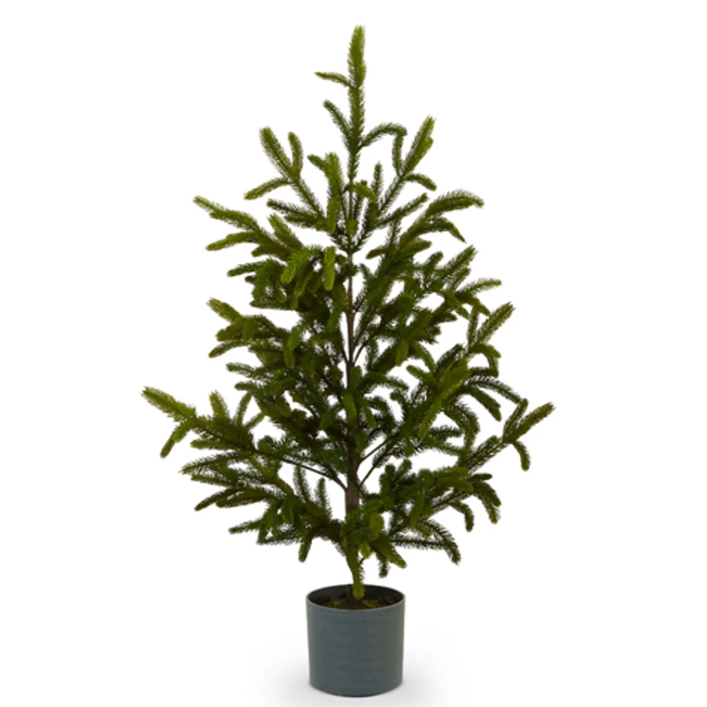 Raz Imports Raz 47" or 60" Potted Noble Fir Tabletop Christmas Tree Sale