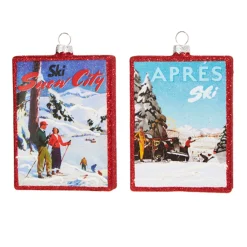 Raz Imports Raz 5" Set of 2 Vintage Ski Glass Christmas Ornament 4324518 Online