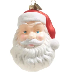 Raz Imports Raz Eric Cortina 4" Santa Face Blow Mold Glass Christmas Ornament 4353114 Best