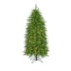 Regency International Regency 5' LED Lighted Norfolk Pine Artificial Christmas Tree MTX72869L Clearance