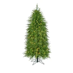 Regency International Regency 5' LED Lighted Norfolk Pine Artificial Christmas Tree MTX72869L Clearance