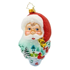 Christopher Radko 2025 Ornament of the Month 12 pc Limited Edition Full Set Best