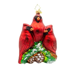 Christopher Radko Cardinal Garden Greetings Glass Christmas Ornament 1022275