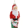 Cody Foster Co Cody Foster 6.25" Santa Blow Mold Glass Christmas Ornament GO-8880 Hot