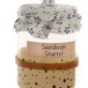 Cody Foster Co Cody Foster 3.5" Sourdough Starter Glass Christmas Ornament GO-8050 Discount
