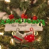 Polar X Family Personalized Christmas Ornament with 2 Mittens Best