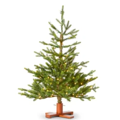 Raz Imports Raz 3' Bavarian Fir Tree with LED Lights Christmas Tree T4509557 Online