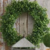 Raz Imports Raz 22" Boxwood Wreath W4221206 Discount
