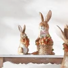 Raz Imports Raz 6" Bunny with Carrots Easter Figure 4411085 Best