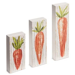 Raz Imports Raz 9.5" Carrot Textured Block Easter Signs Set of 3 4457301 New