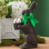 Raz Imports Raz 14" Chocolate Bunny with Egg Basket 4510269