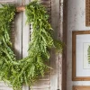 Raz Imports Raz 36" Large Fern Wreath W4502036