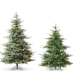 Raz Imports Raz 7.5' or 9' Deluxe Rocky Mountain Spruce with Brilliant Color Change LED Lights Best