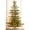 Raz Imports Raz 7.5' or 9' Norwegian Spruce with Brilliant Color Change LED Lights Christmas Tree Online