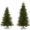 Raz Imports Raz 7.5' or 9' O Tannenbaum Aspen Fir Real Feel Christmas Tree with Brilliant LED Lights Hot