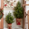 Raz Imports Raz 27" or 35" Potted Half Wall Hanging Christmas Tree Clearance