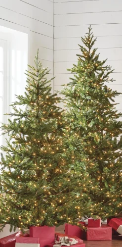 Raz Imports Raz 7.5' Pre-lit Green Mountain Fraser Fir Christmas Tree T4147025 Online