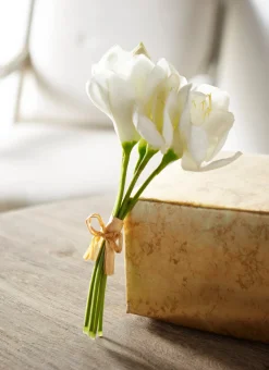 Raz Imports Raz 12" Real Feel White Amaryllis Bundle F4302310 Clearance